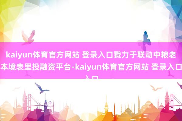 kaiyun体育官方网站 登录入口戮力于联动中粮老本境表里投融资平台-kaiyun体育官方网站 登录入口