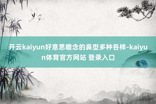 开云kaiyun好意思瞻念的鼻型多种各样-kaiyun体育官方网站 登录入口