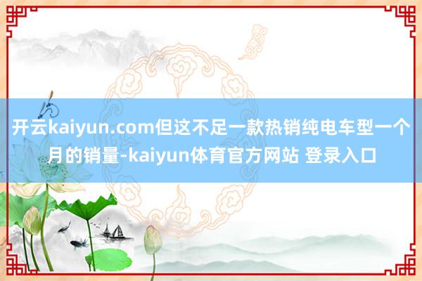 开云kaiyun.com但这不足一款热销纯电车型一个月的销量-kaiyun体育官方网站 登录入口