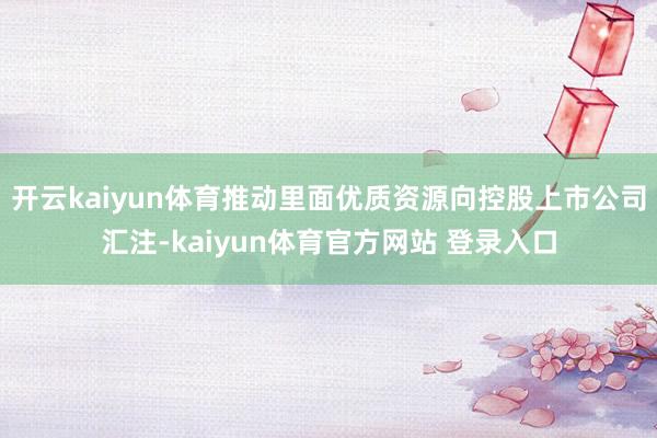 开云kaiyun体育推动里面优质资源向控股上市公司汇注-kaiyun体育官方网站 登录入口