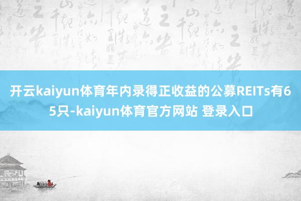 开云kaiyun体育年内录得正收益的公募REITs有65只-kaiyun体育官方网站 登录入口