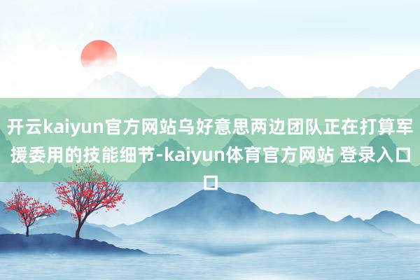 开云kaiyun官方网站乌好意思两边团队正在打算军援委用的技能细节-kaiyun体育官方网站 登录入口