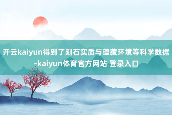 开云kaiyun得到了刻石实质与蕴藏环境等科学数据-kaiyun体育官方网站 登录入口