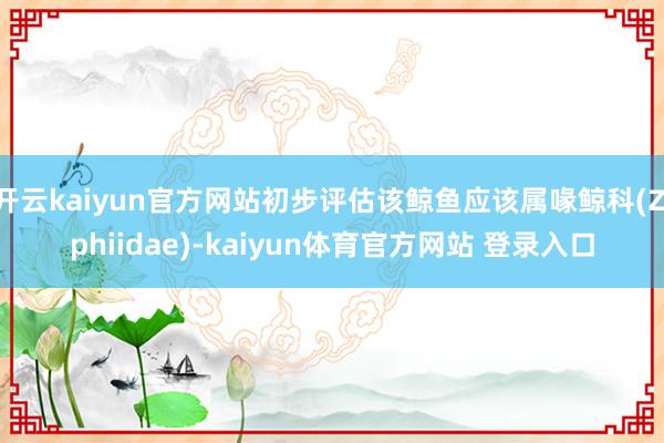 开云kaiyun官方网站初步评估该鲸鱼应该属喙鲸科(Ziphiidae)-kaiyun体育官方网站 登录入口