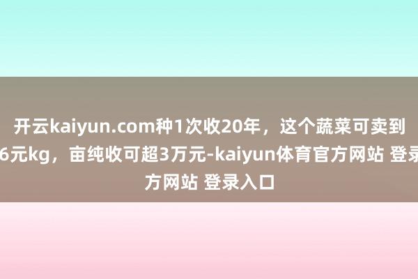 开云kaiyun.com种1次收20年，这个蔬菜可卖到124.6元kg，亩纯收可超3万元-kaiyun体育官方网站 登录入口