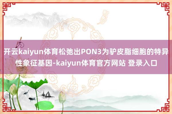 开云kaiyun体育松弛出PON3为驴皮脂细胞的特异性象征基因-kaiyun体育官方网站 登录入口