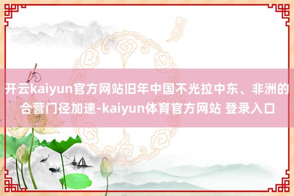 开云kaiyun官方网站旧年中国不光拉中东、非洲的合营门径加速-kaiyun体育官方网站 登录入口